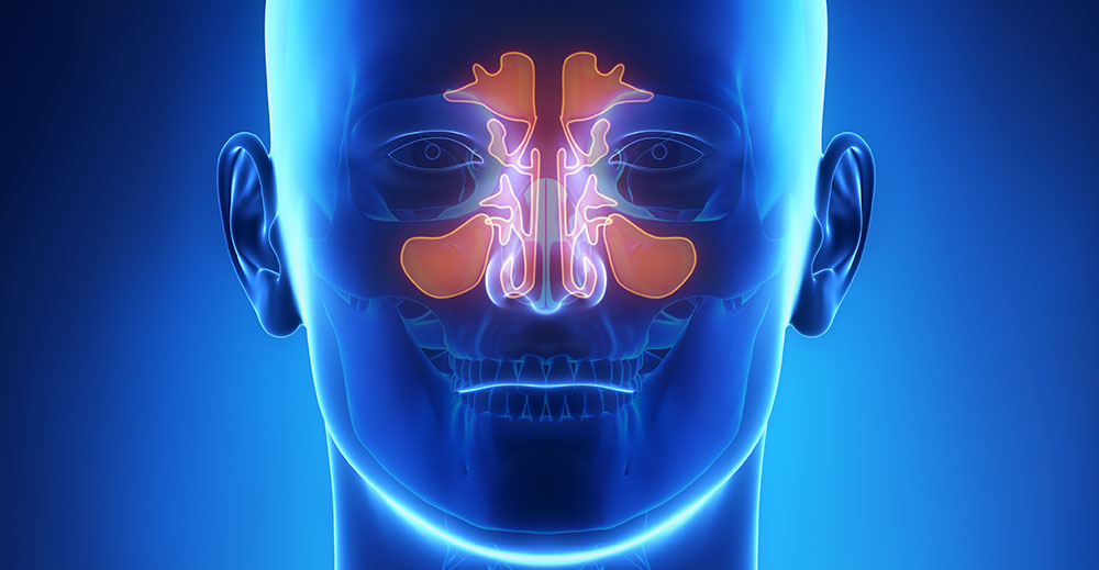 Respiratory Medicine | Specialities & Treatments at Parkside Suite Heatherwood