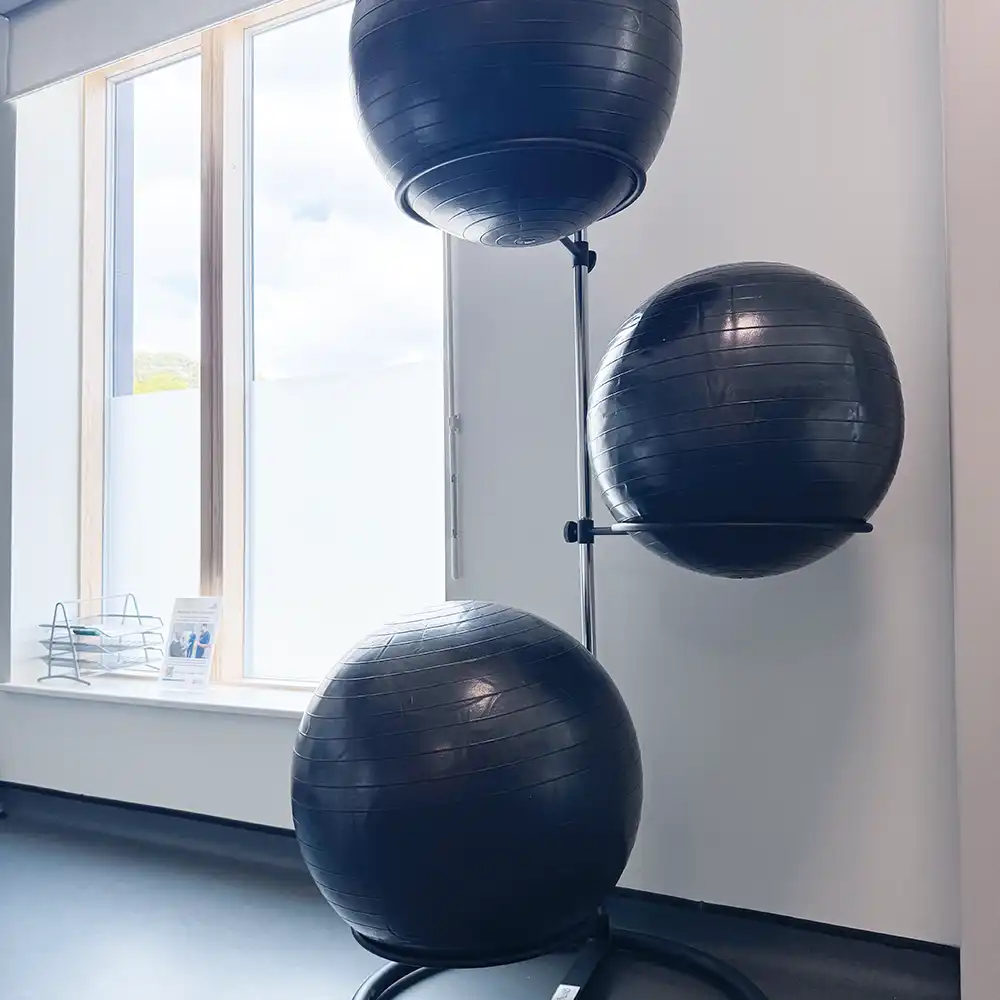 Heatherwood Parkside Physiotherapy Services | Medicine Balls | Parkside Suite